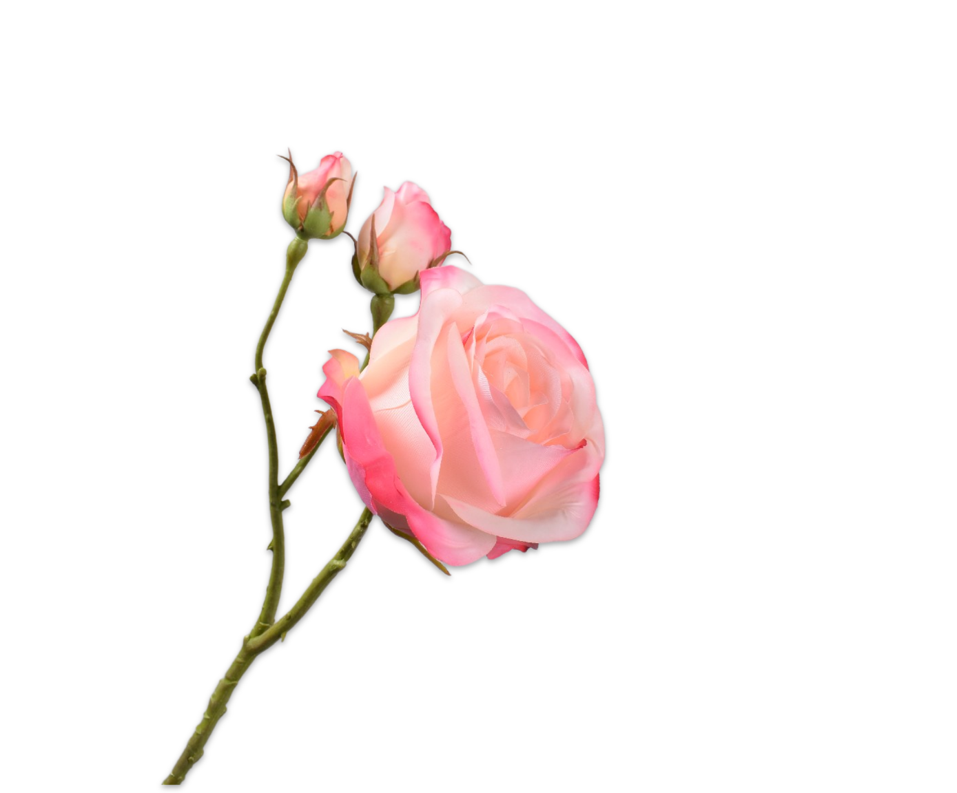 Artificial flower stem without background
