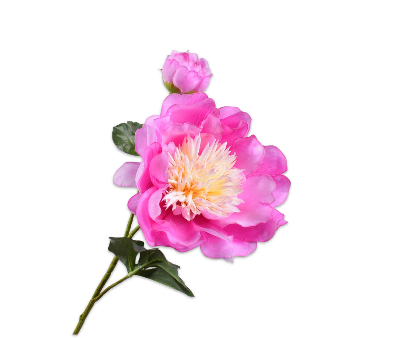 Artificial flower stem without background