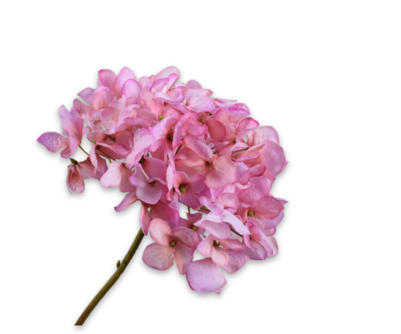 Artificial flower stem without background