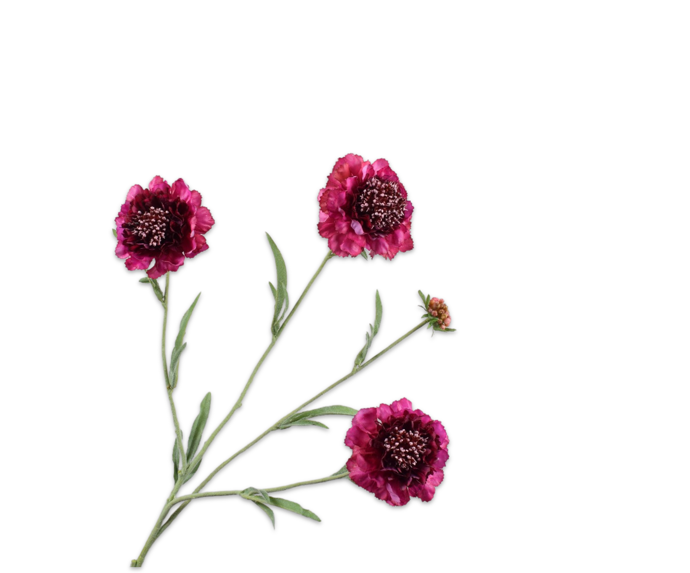 Artificial flower stem without background