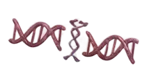 3D illustration of a DNA double helix with a chemical structure overlay.