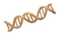 3D illustration of a DNA double helix strand with twisting structure.