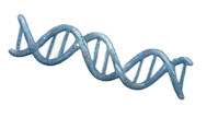 3D illustration of a DNA double helix structure in blue.