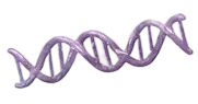 3D illustration of a purple DNA double helix strand.