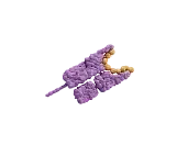 Purple caterpillar with a yellow head on a black background.