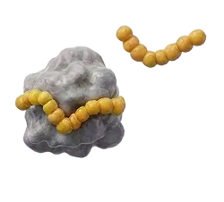 Yellow spherical beads arranged in a chain wrapping around a gray irregularly shaped object, with a separate short chain of beads nearby.