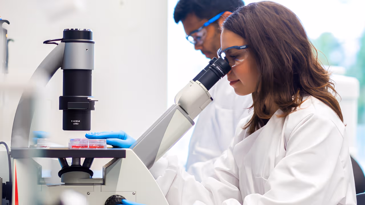Infinitopes laboratory