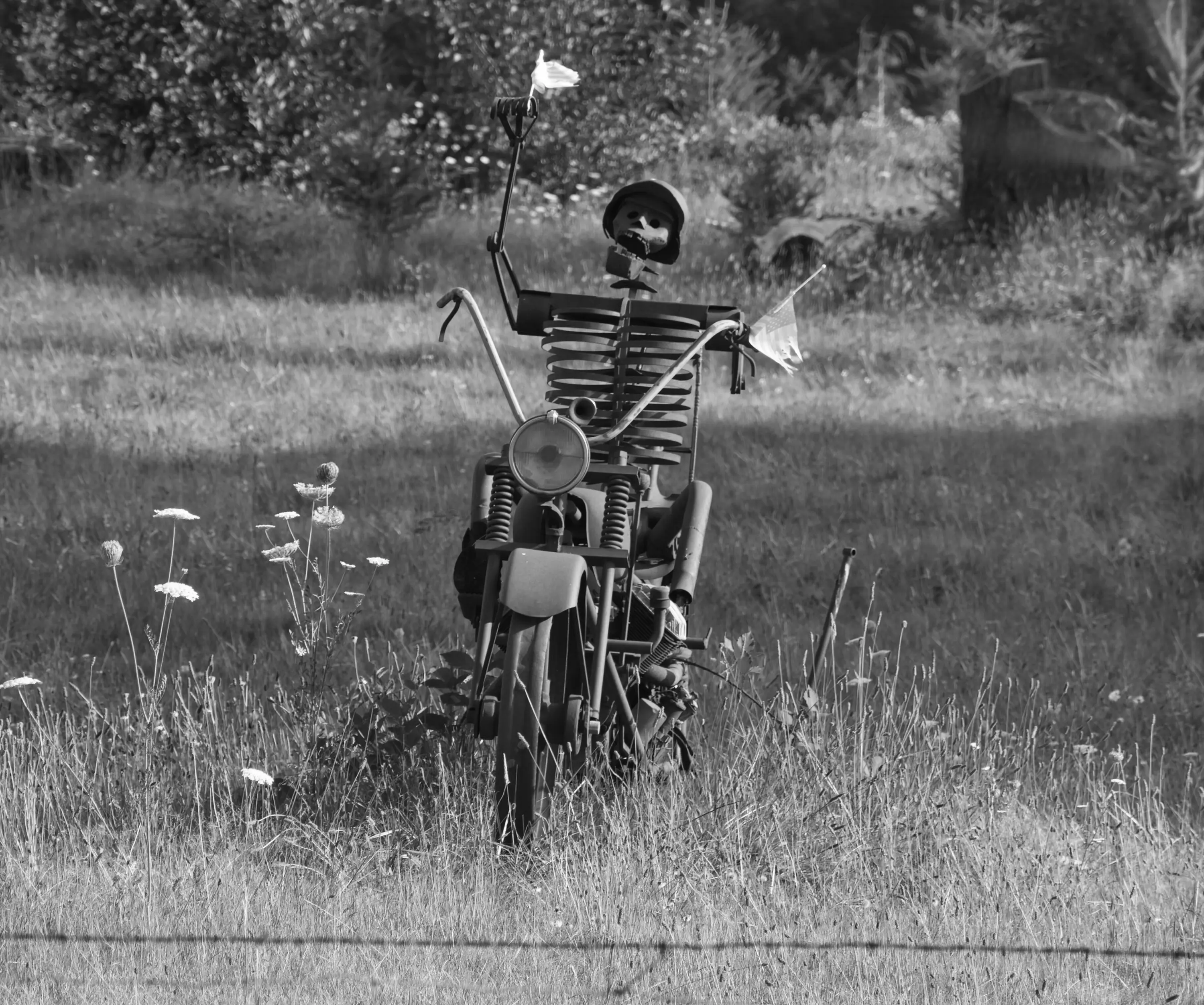A skeleton figure mounted on a motorcycle in an overgrown field, black and white