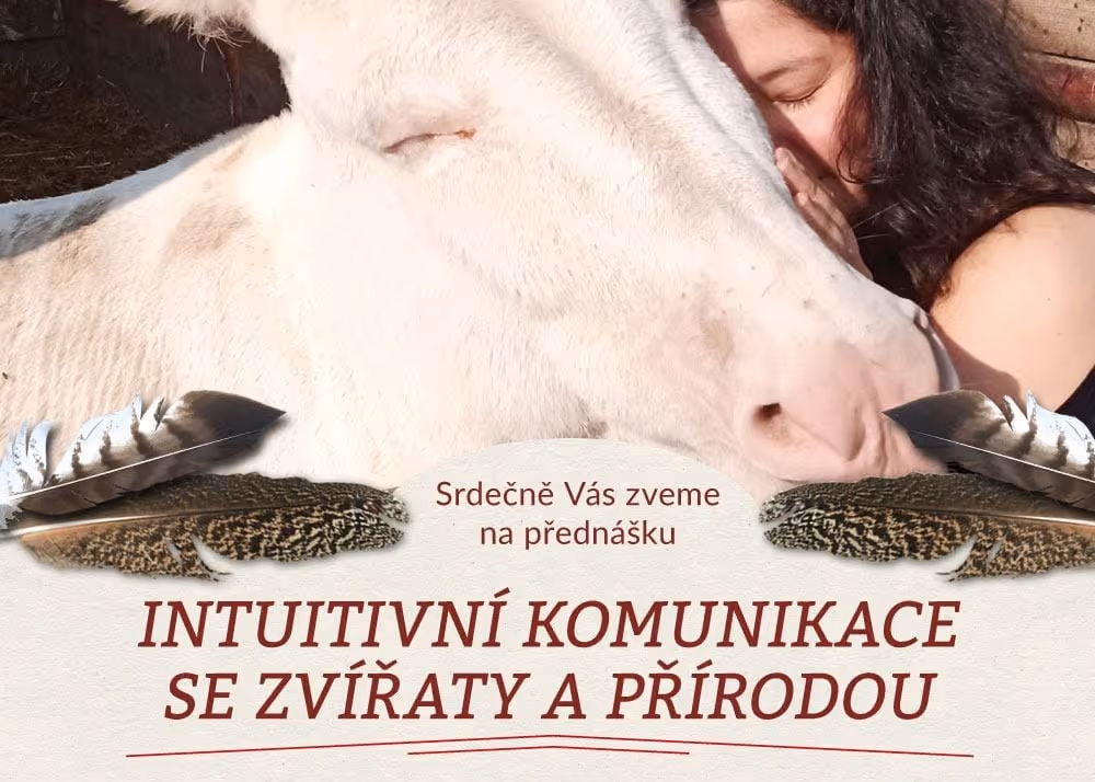 Rozloučení s legendárním ALLfestem