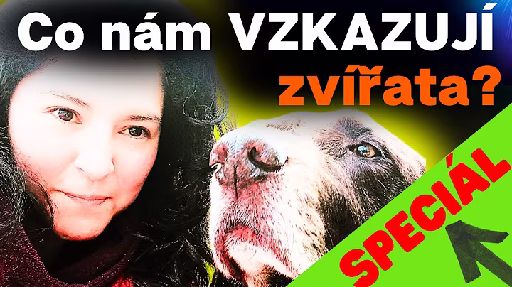 Anna Karina León Girón v podcástu Tomáše Lukavce - Zákony bohatství