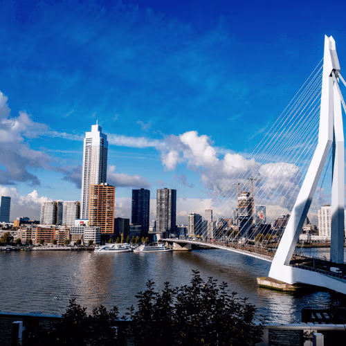 Erasmusbrug in Rotterdam