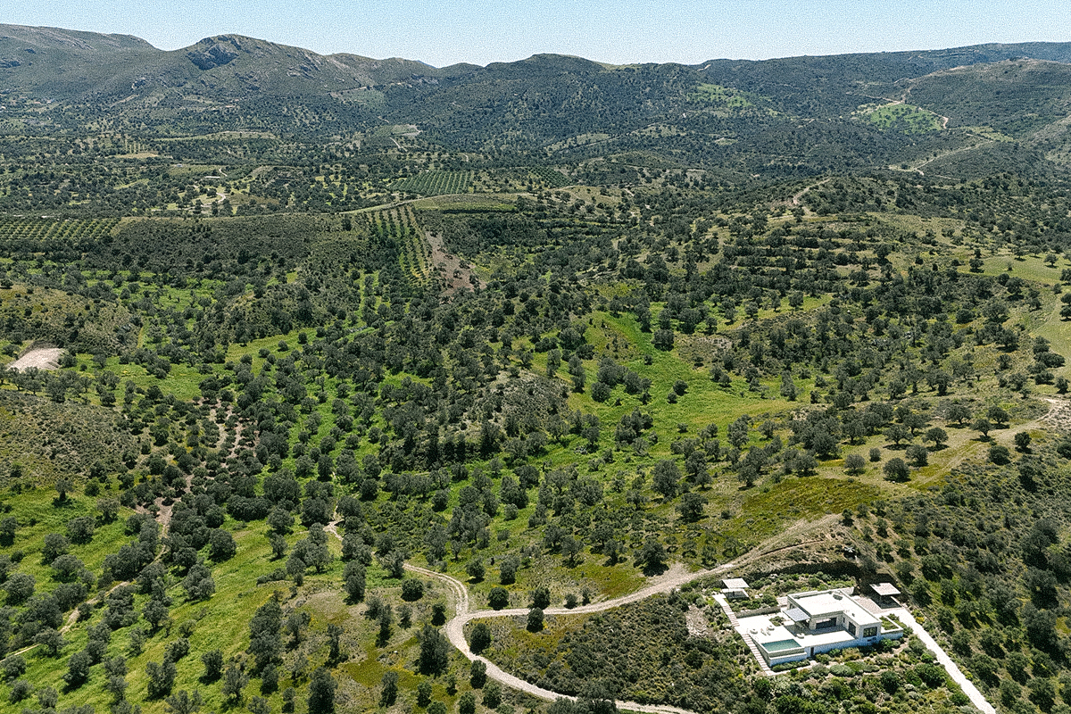 Environment of the villa