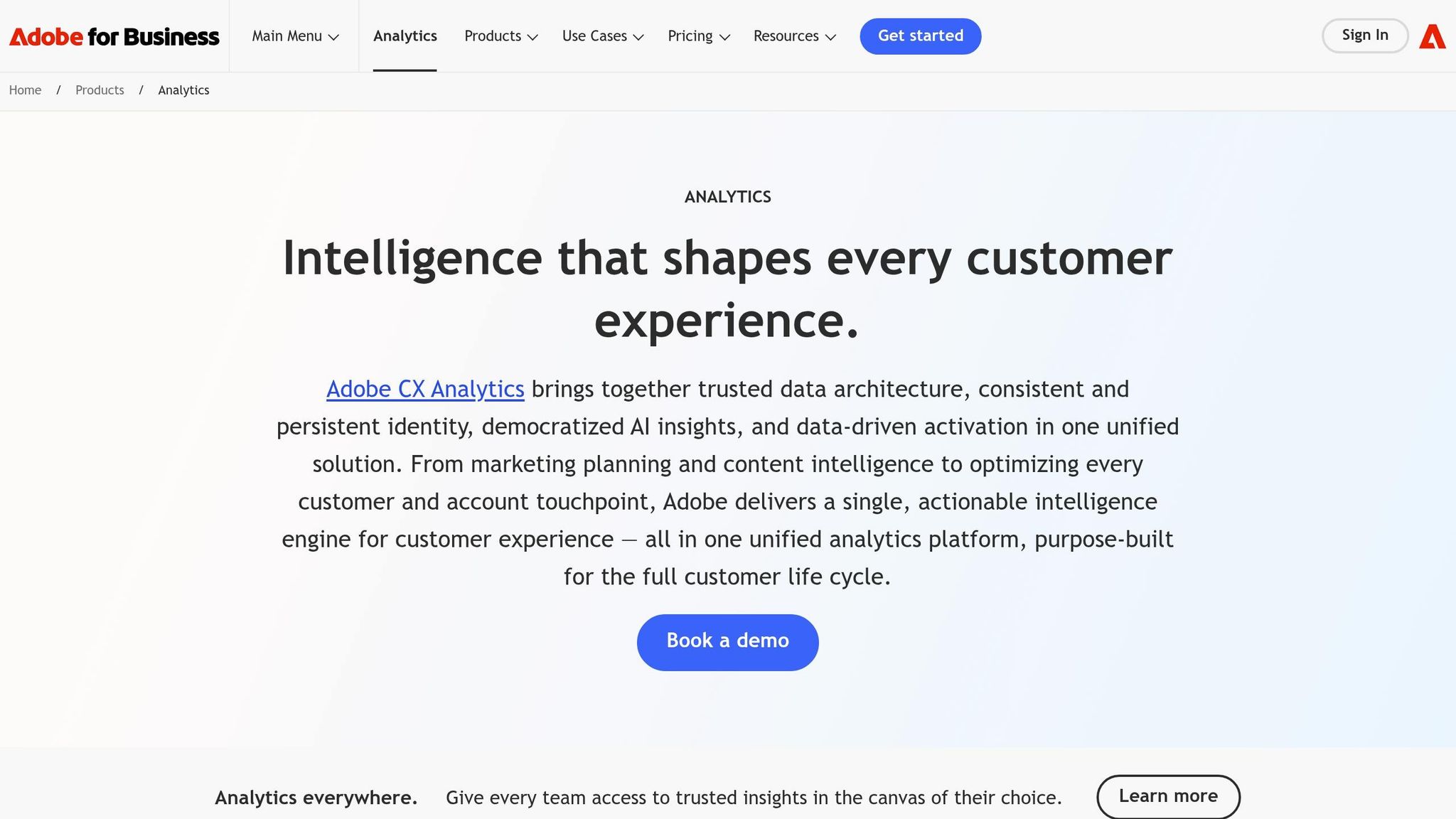 Adobe Analytics