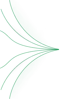 Finser Line Icon