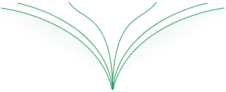 Finser Line Icon