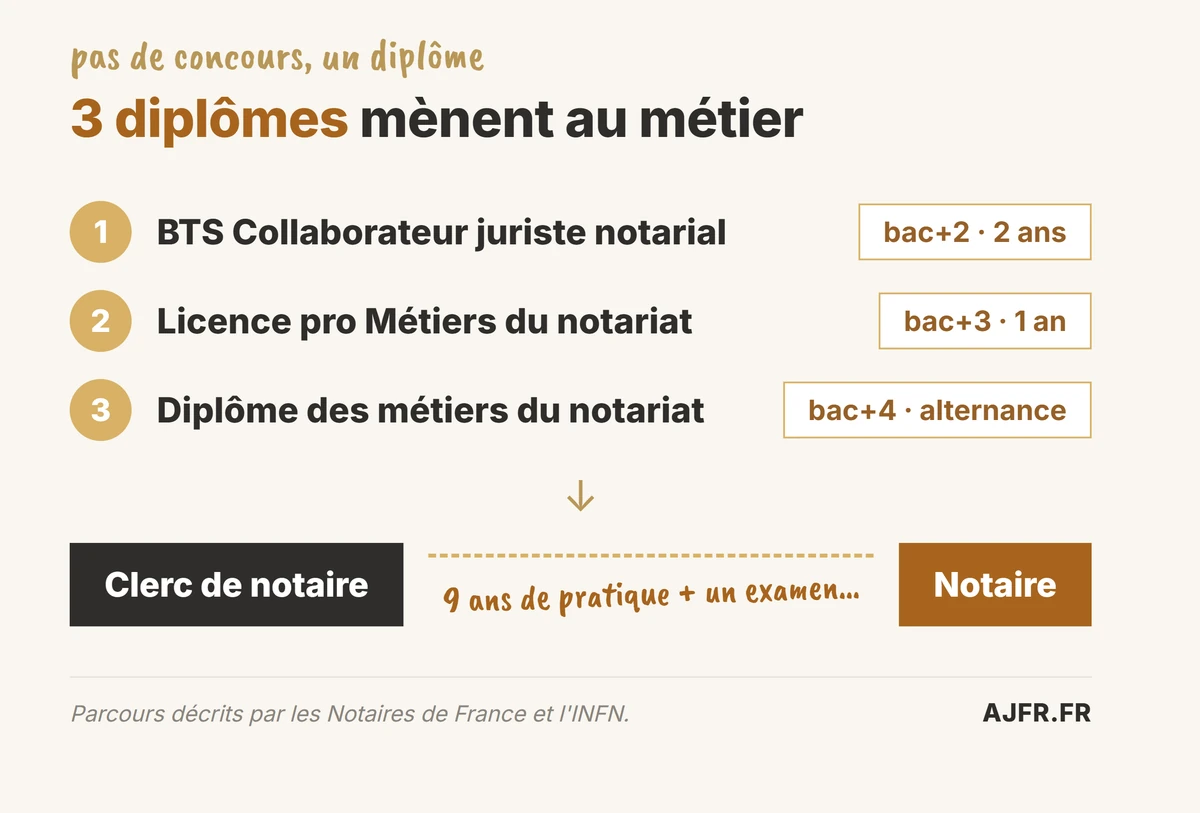 Les 3 diplômes pour devenir clerc de notaire, puis la voie interne vers notaire après 9 ans