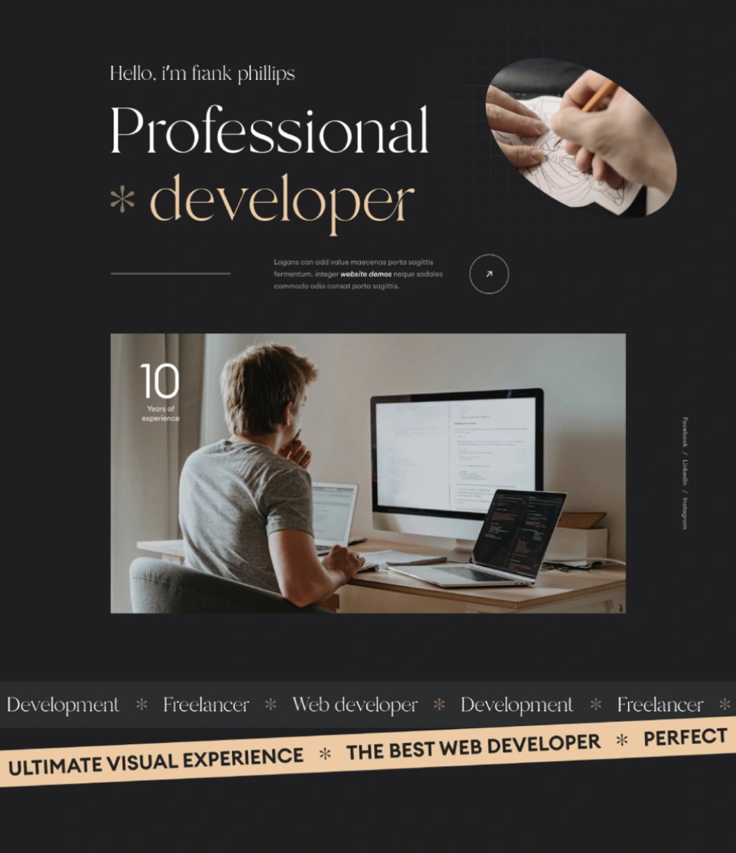 Developer