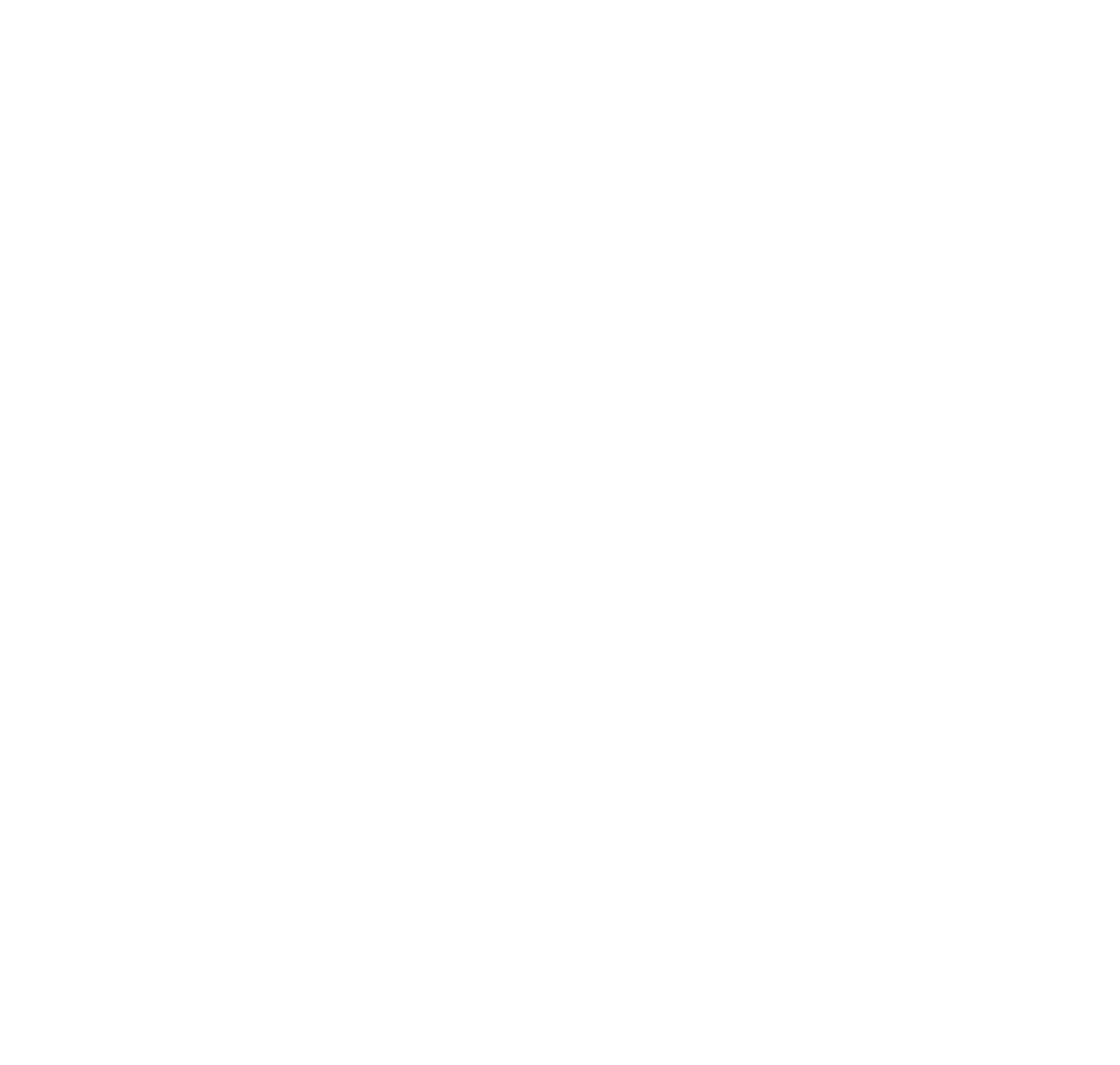 Next Level Dental Studio logo