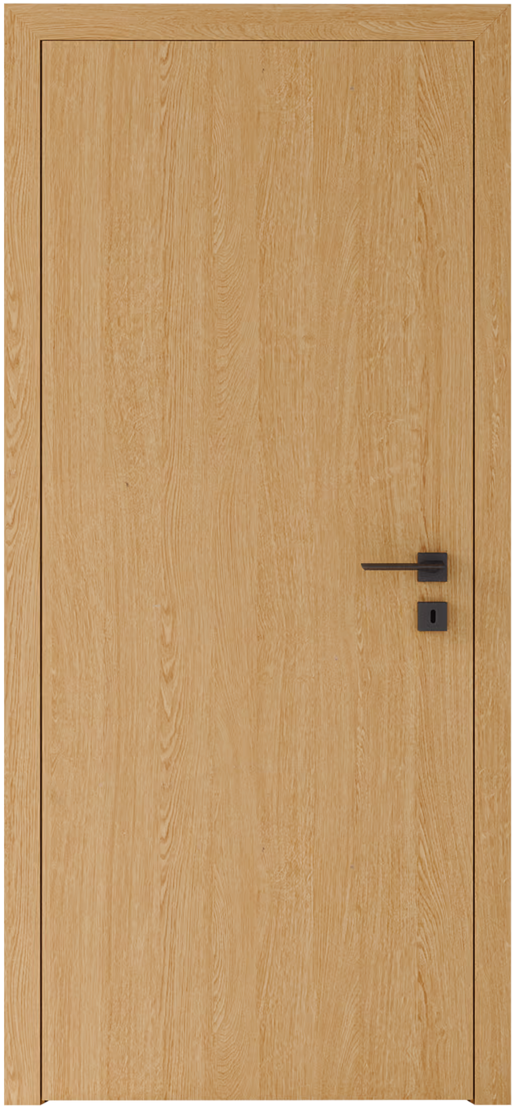 porte technique pour bâtiment collectif