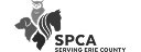 SPCA