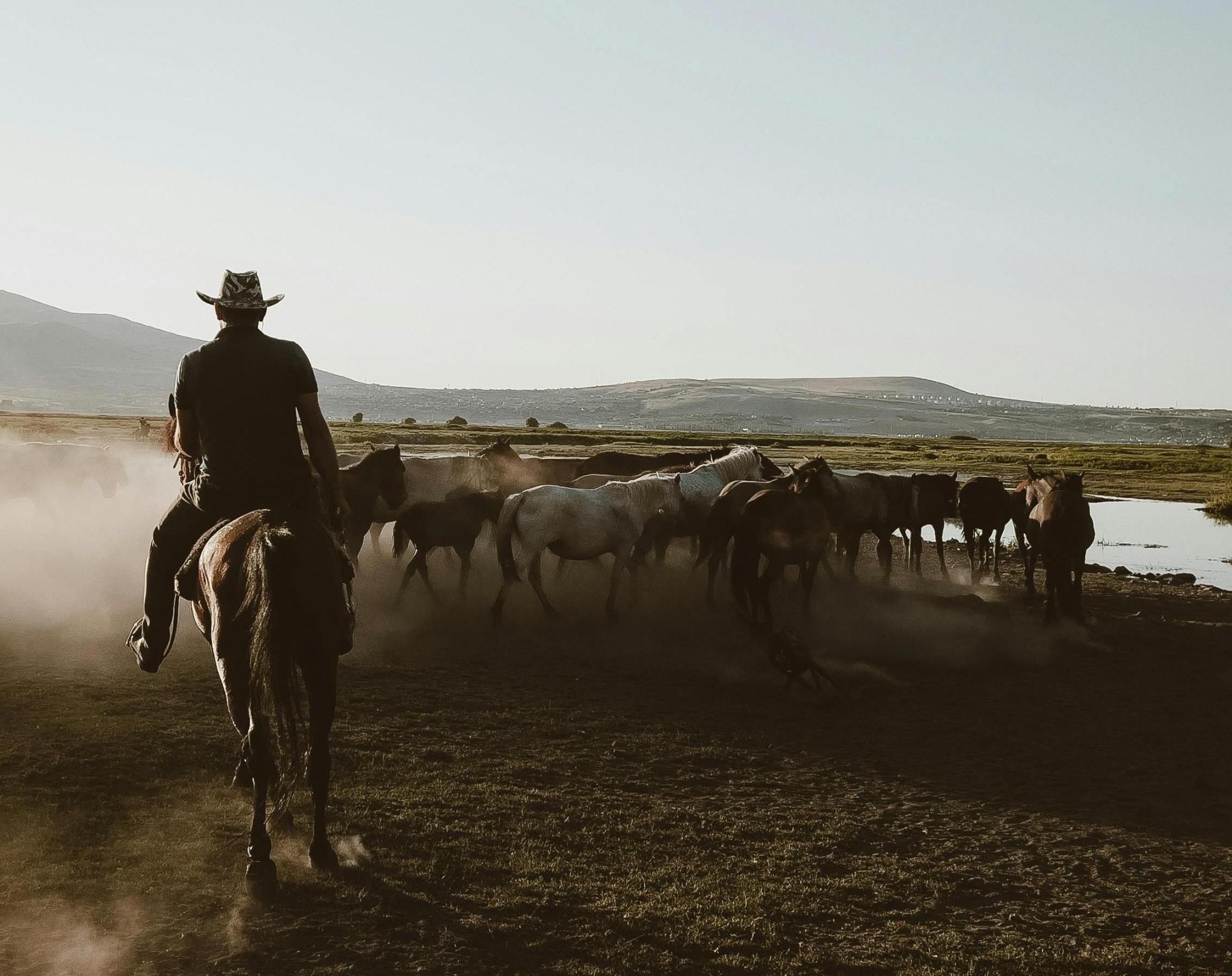 Cowboy on horseback