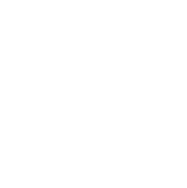 Godel logo