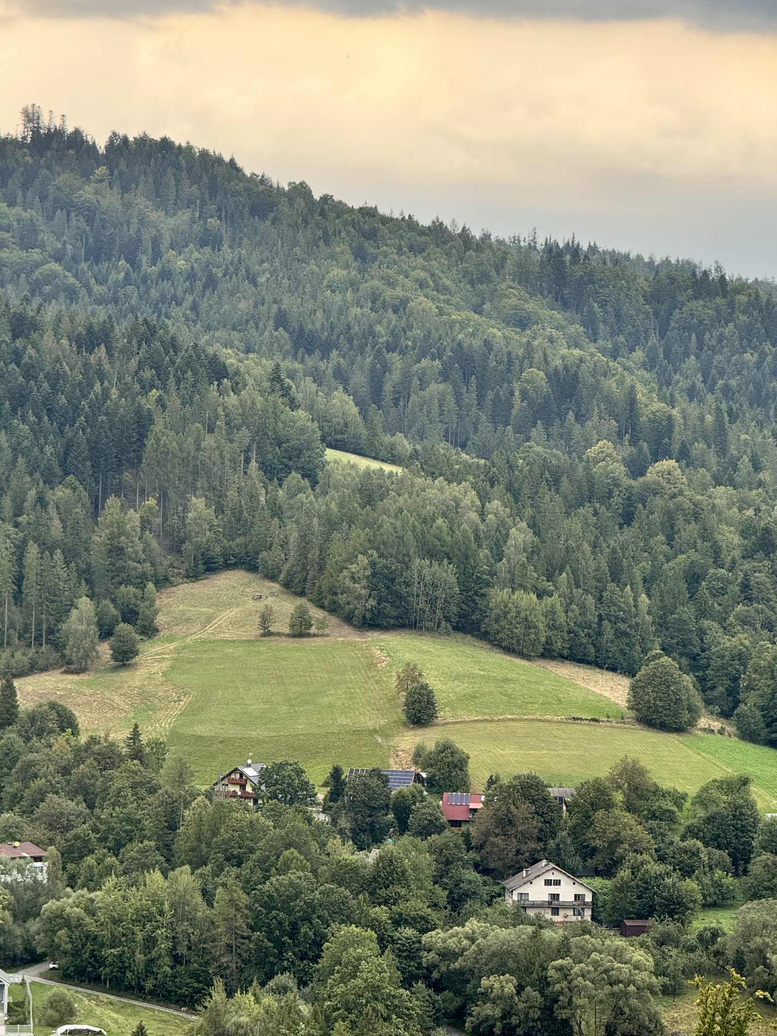 adama małysza w wiśle