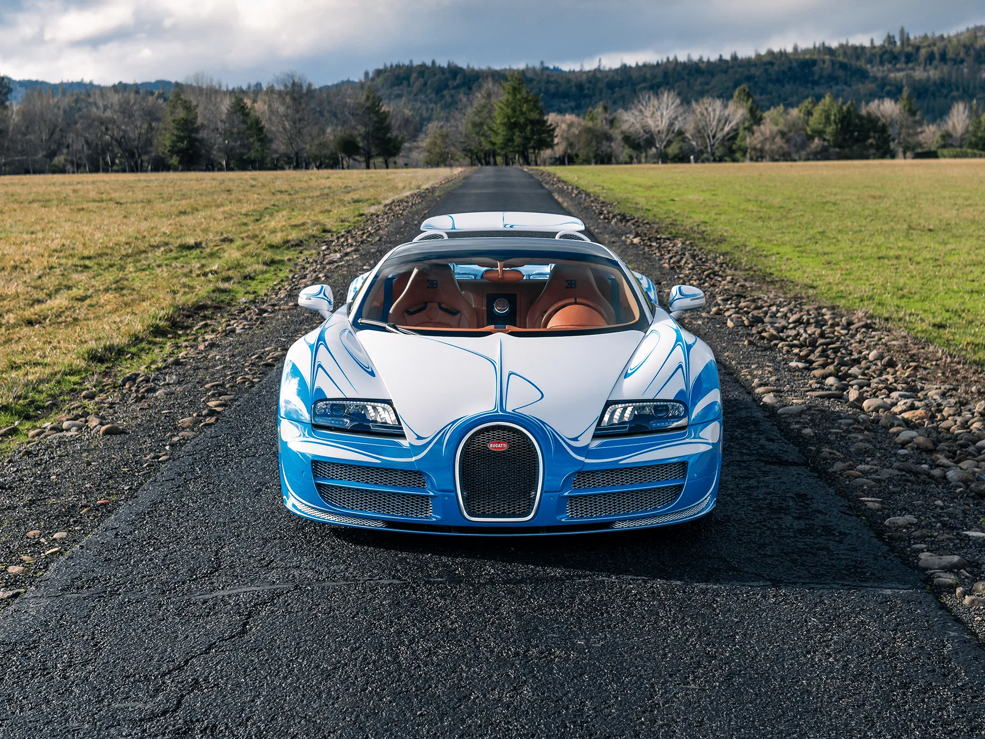 Vitesse