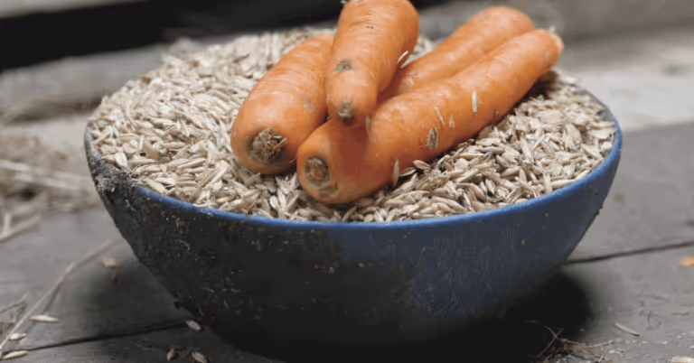 carrots in a bowl