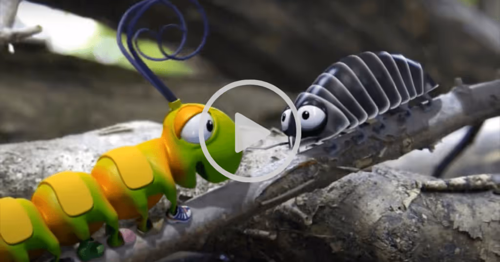 Caterpillar Shoes story