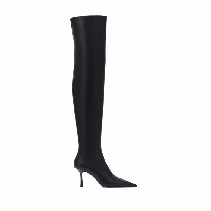 Демисезонные ботфорты EKONIKA