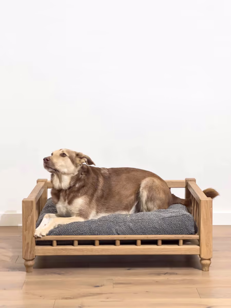 Диван для питомца LIFEY