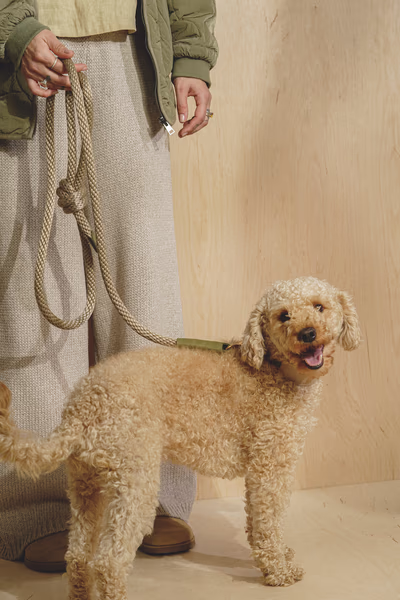 Поводок "Пони-узелкони" с зелеными вставками HUNTINGPONY