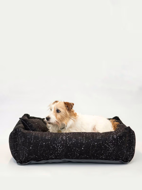 Лежак B.STAR BADGERS WOOD