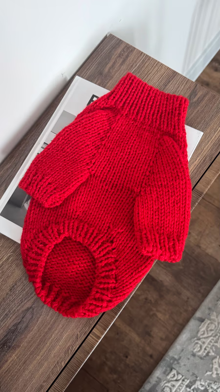 Свитер CHARLIE DOG BRAND