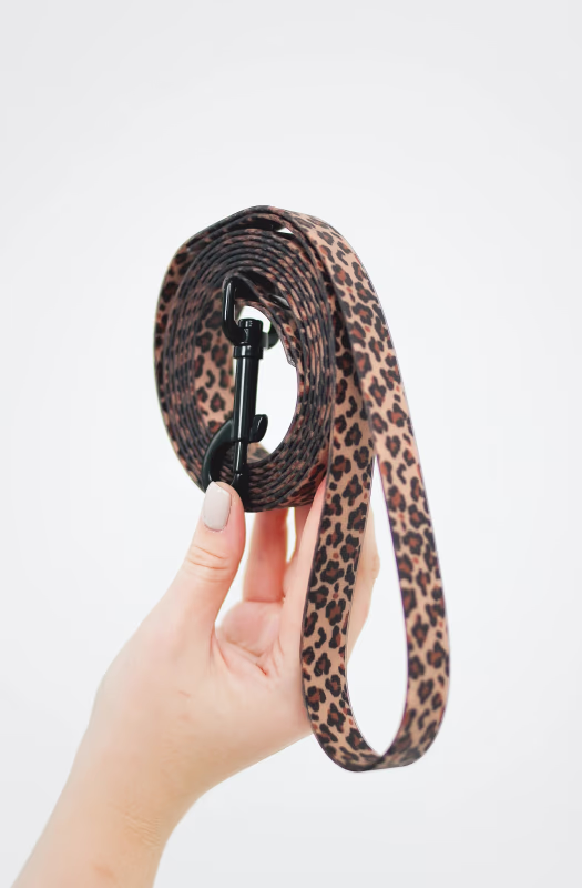 Поводок/поводок-перестежка USHKI