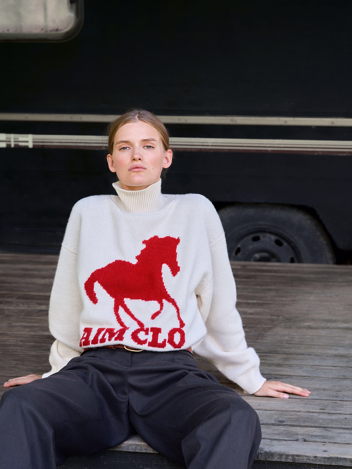 Свитер AIM CLO