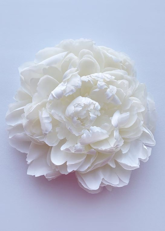 BIG BROOCH