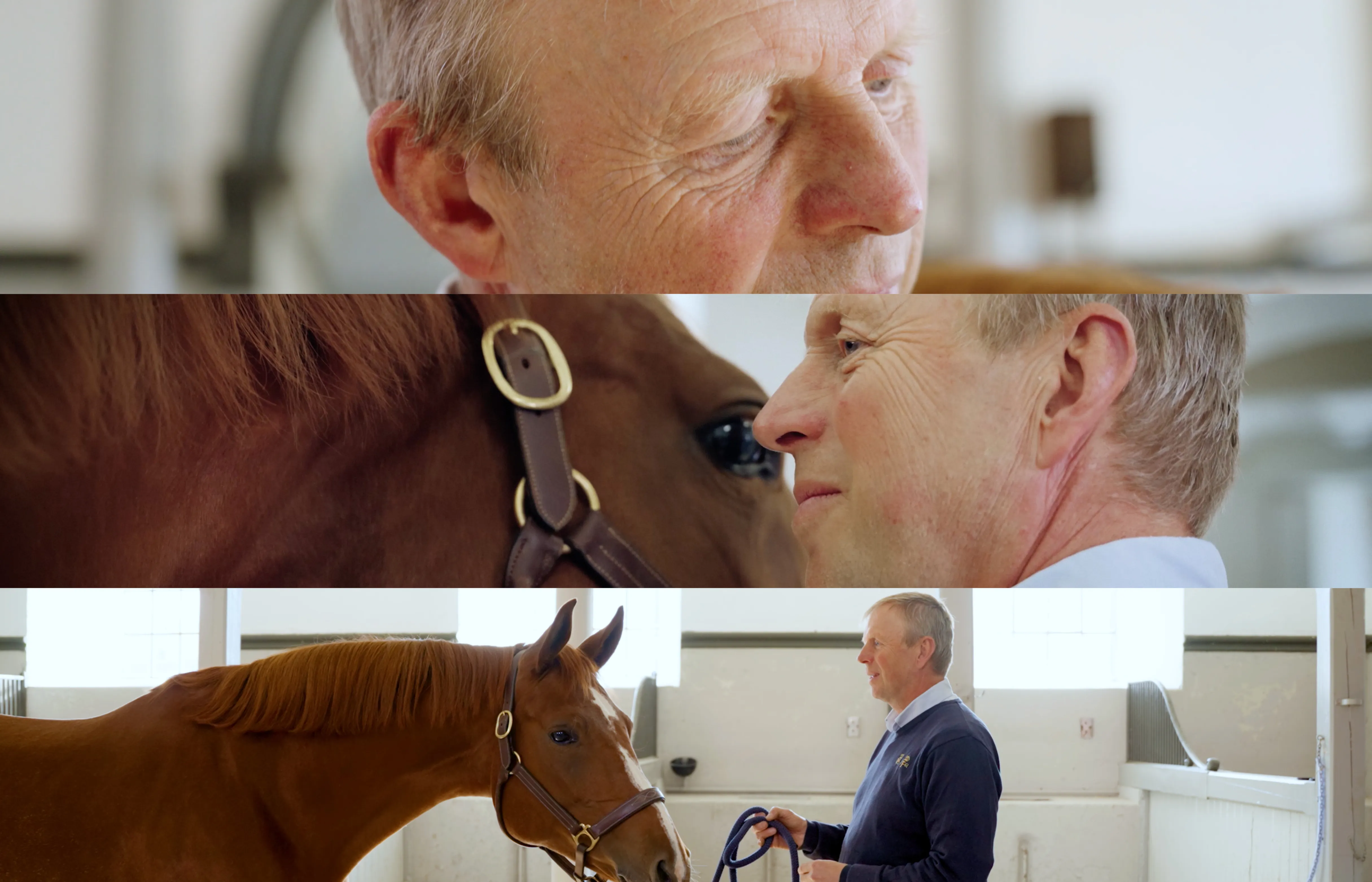 A portrait of famous dressage rider Lina Dolk, looking into the camera, standing next to her horse Hpnotic MJ.