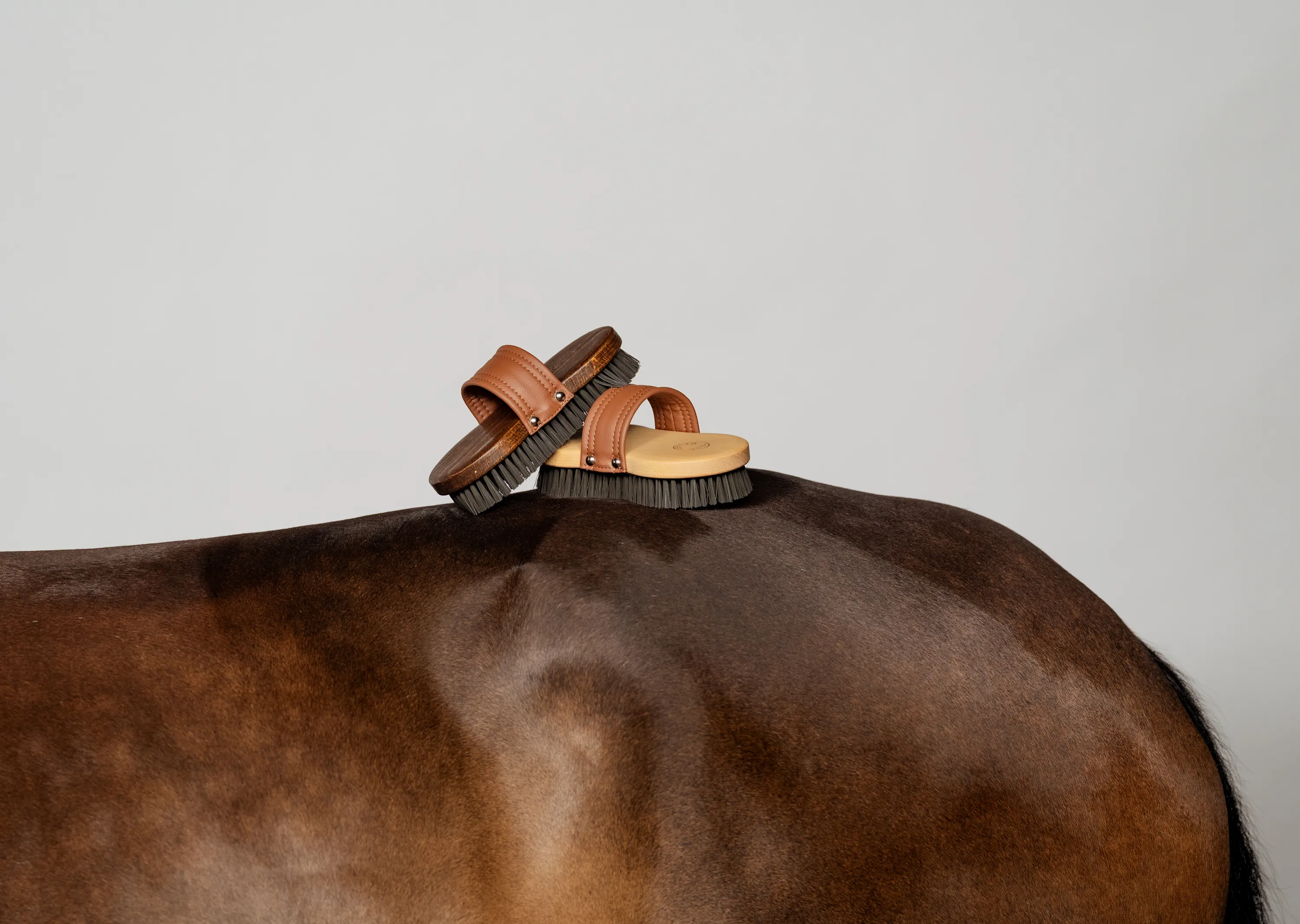 Two brushes in wood, with leather handles, stacked on top of a horse back, shot in a crispy clean photo studio.