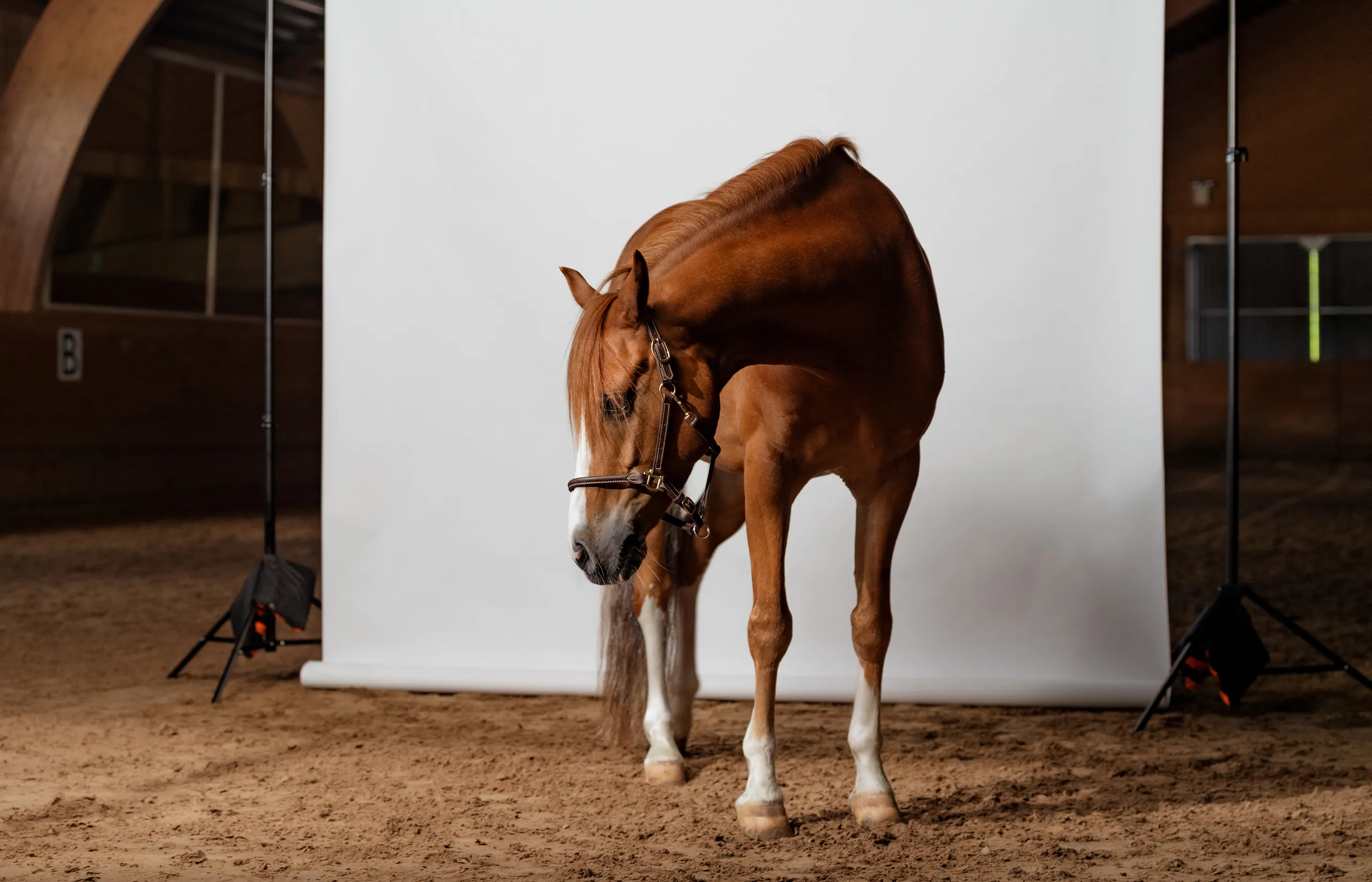Two hands holding up a wooden last under the lights to inspect its shape and quality.