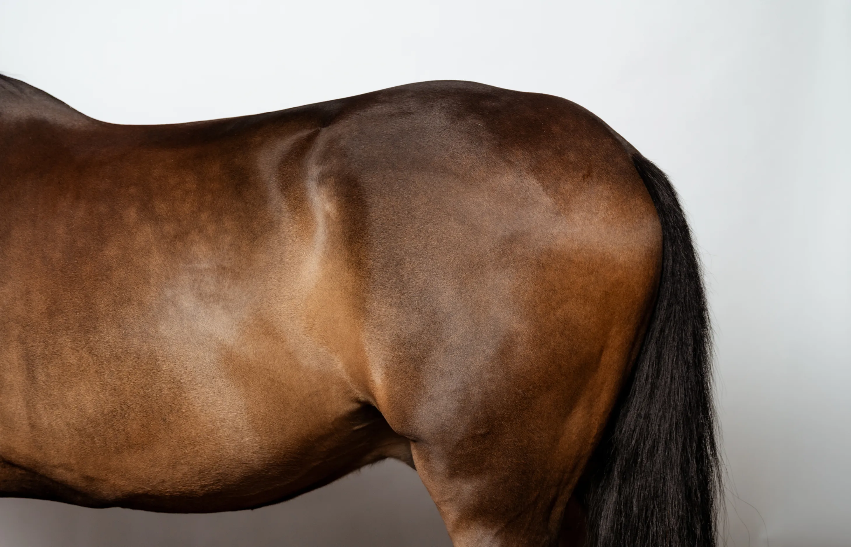 Two hands holding up a wooden last under the lights to inspect its shape and quality.