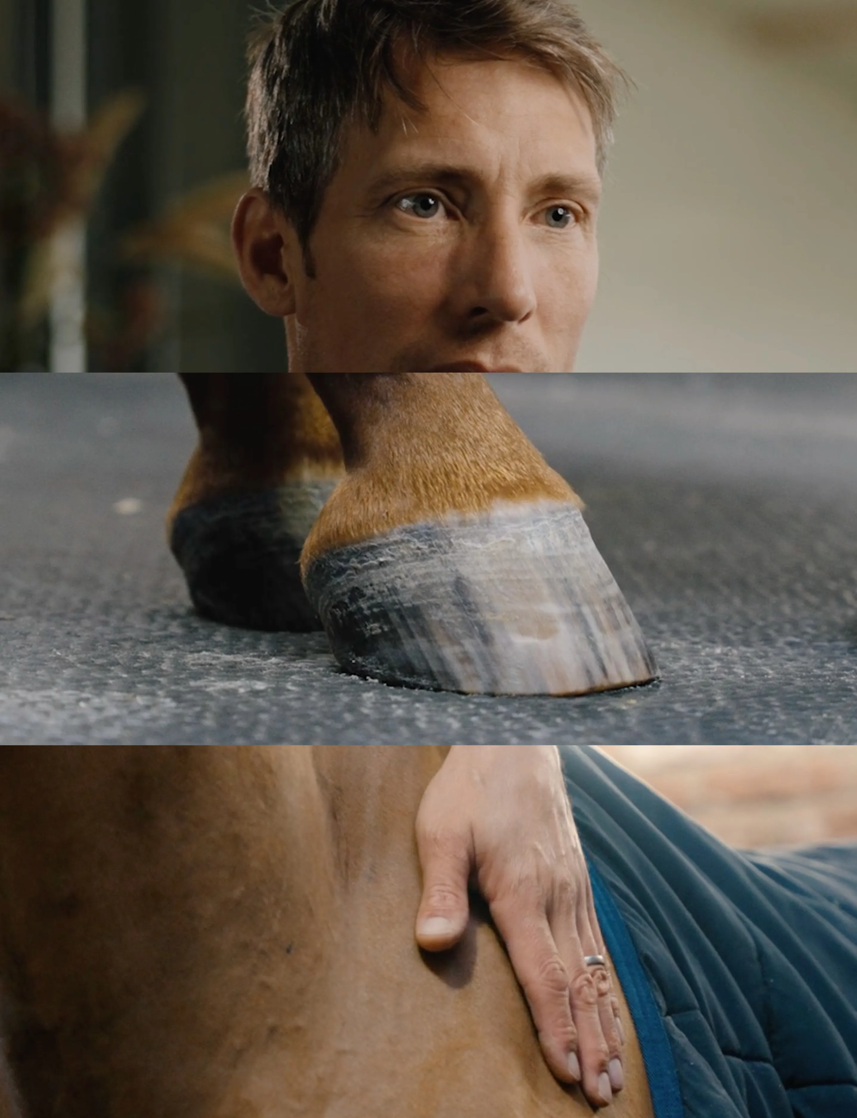 Collage of three images showing Henrik von Eckermann's face, a close-up of a horse’s hooves, and a hand gently resting on a horse's side.