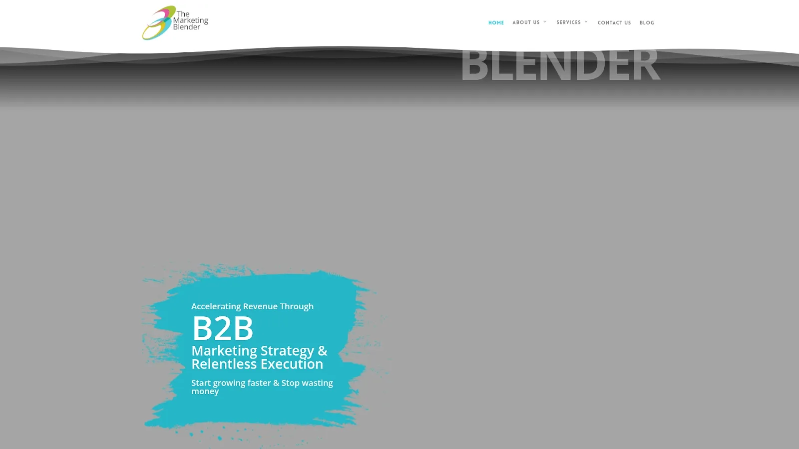 Agency Website Screenshot