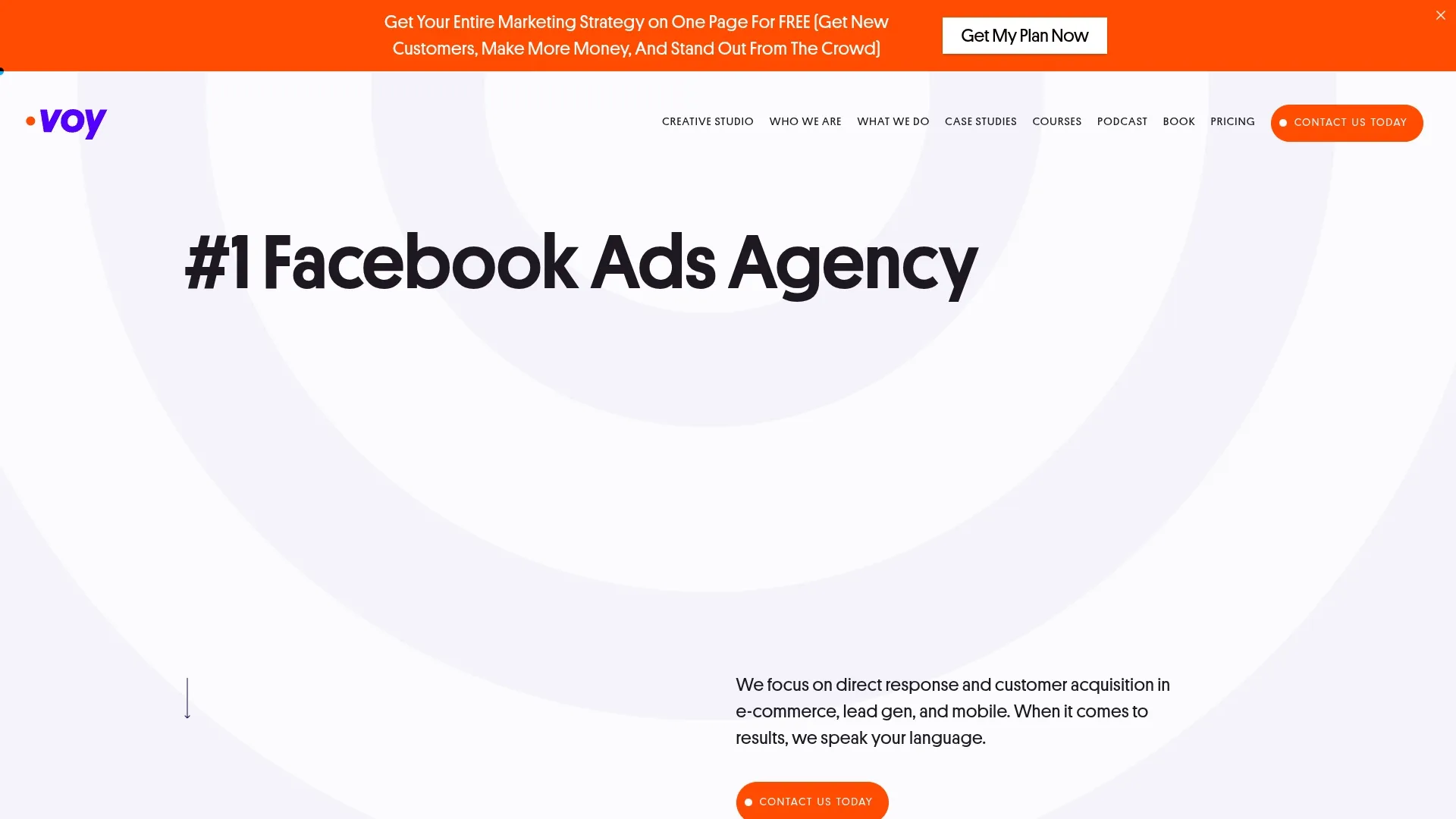 Agency Website Screenshot