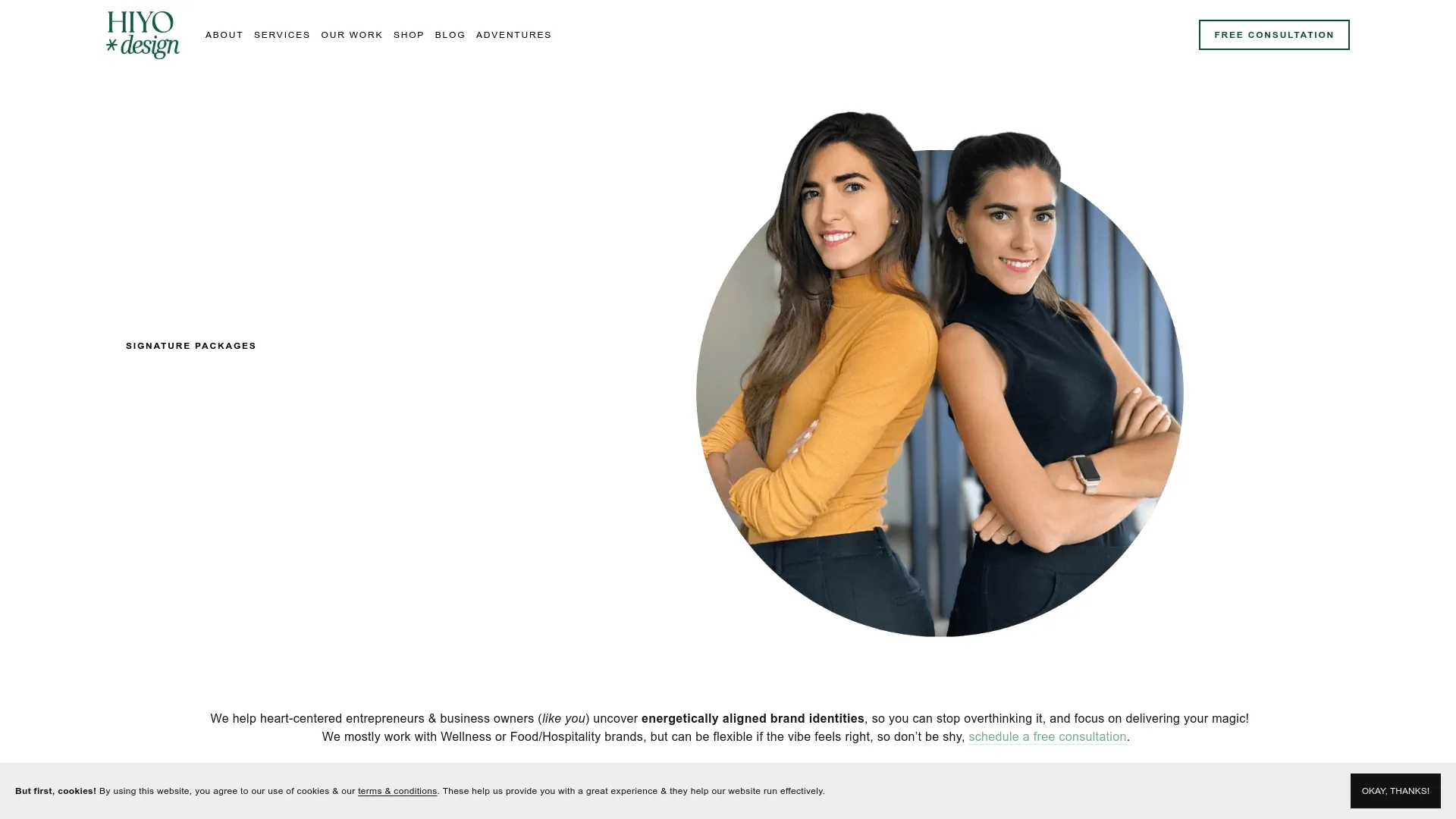 Agency Website Screenshot