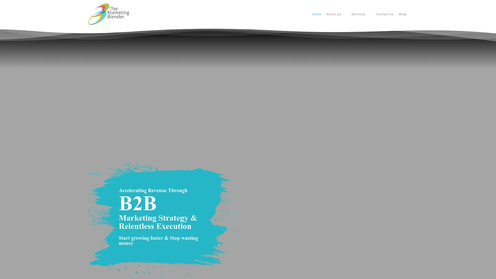 Agency Website Screenshot