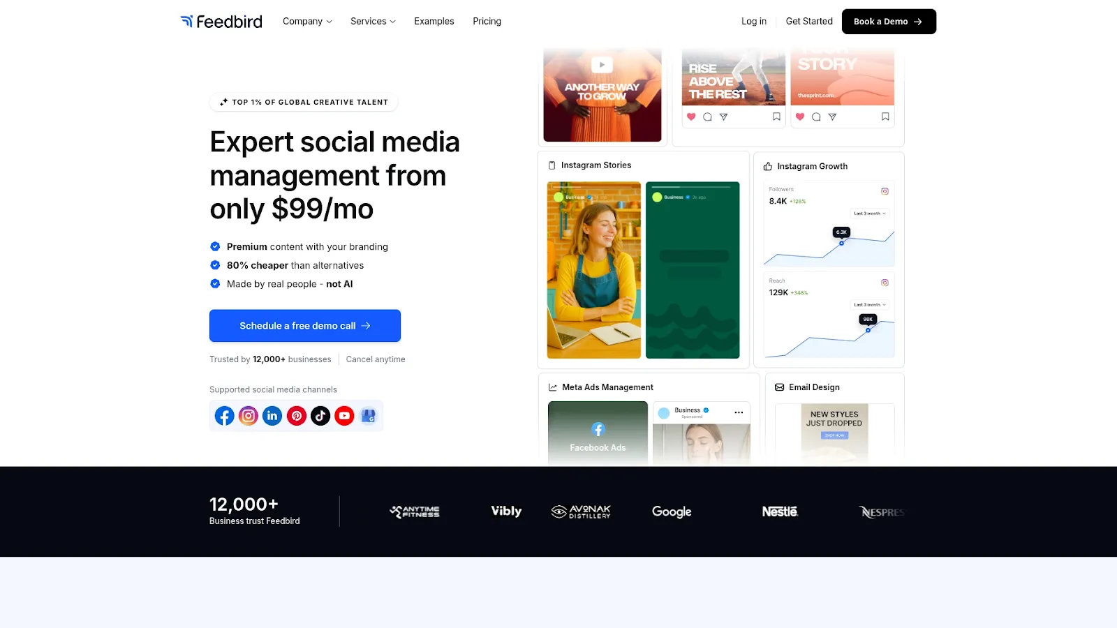 Agency Website Screenshot