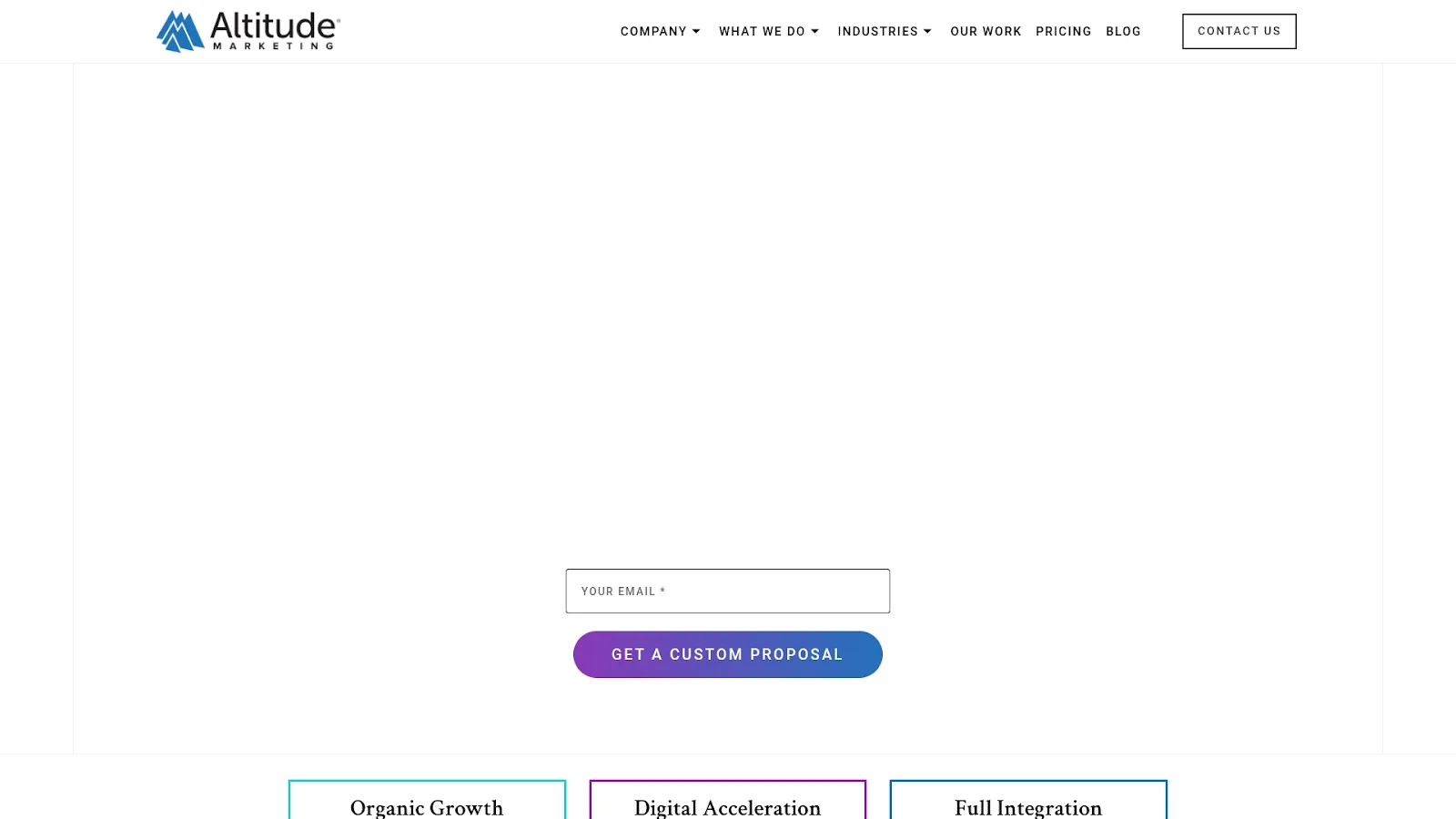 Agency Website Screenshot