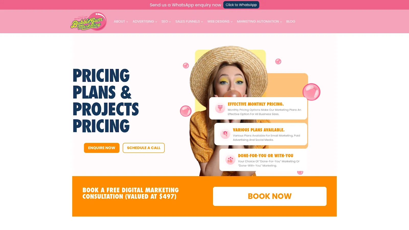 Agency Website Screenshot